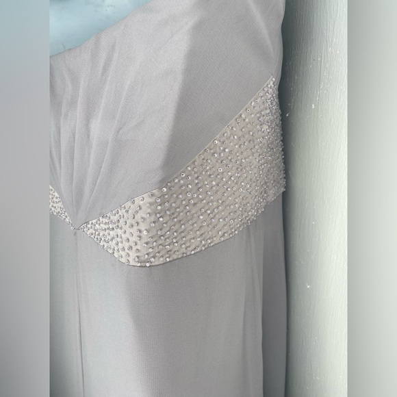 Coast NWT Michegan Maxi Dress - Picture 13 of 16